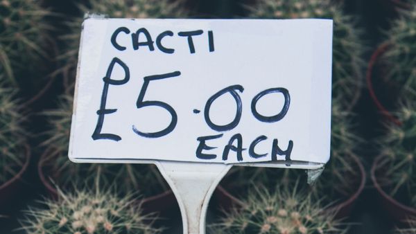 Software pricing models